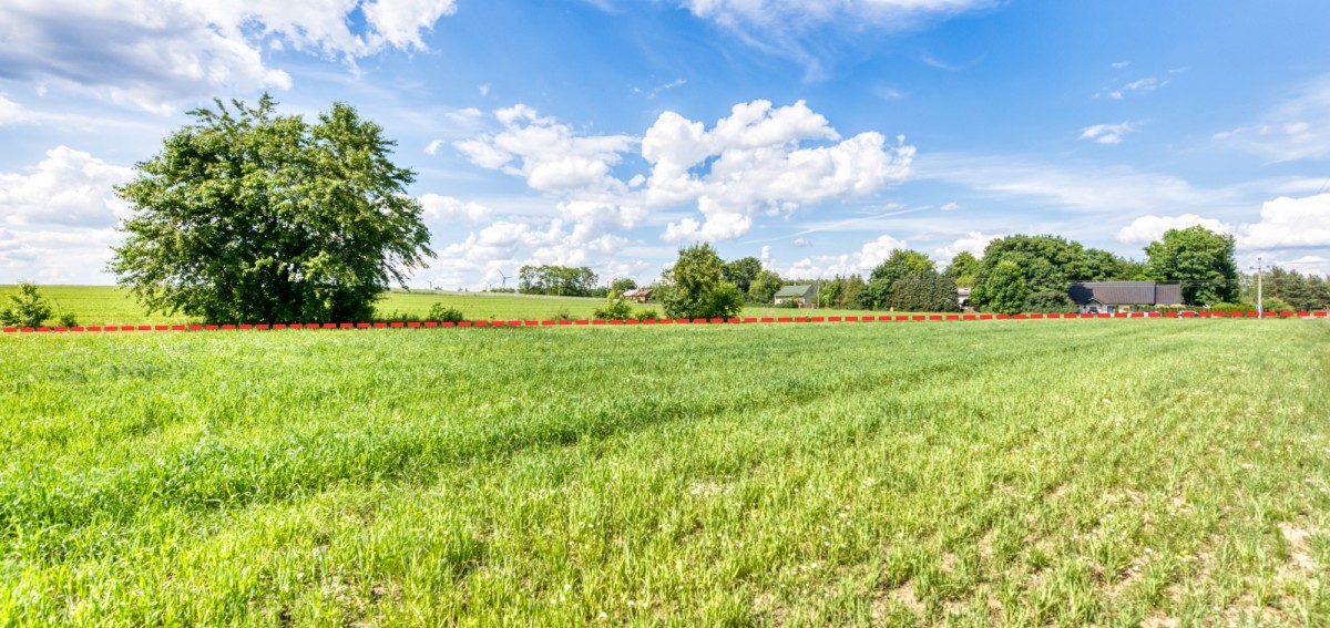 Terreno - 7161 m² - Glinnik