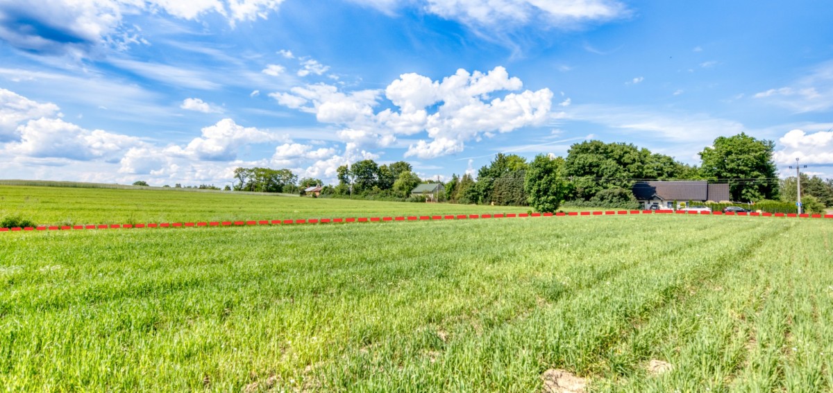 Terreno - 7161 m² - Glinnik