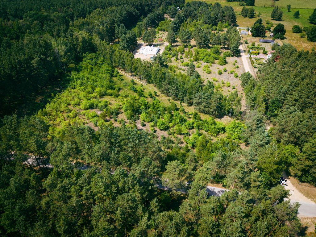 Grundstück - 3000 m² - Osina
