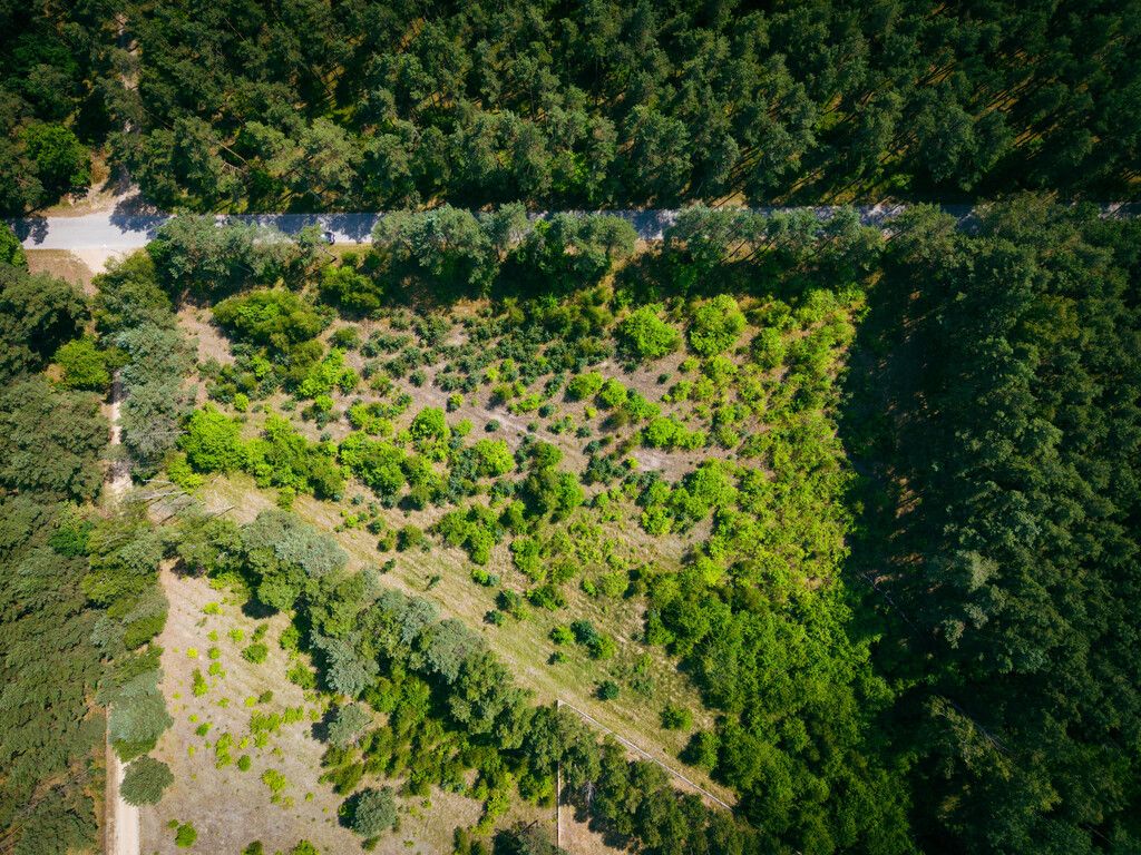Grundstück - 3000 m² - Osina