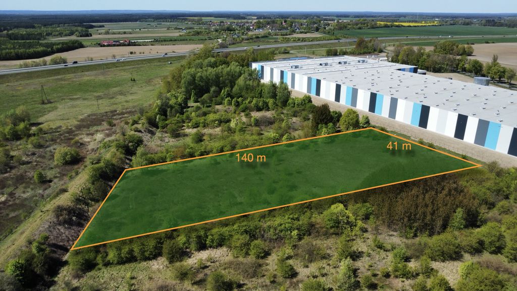 Działka - 4900 m² - Brzezie k. Sulechowa