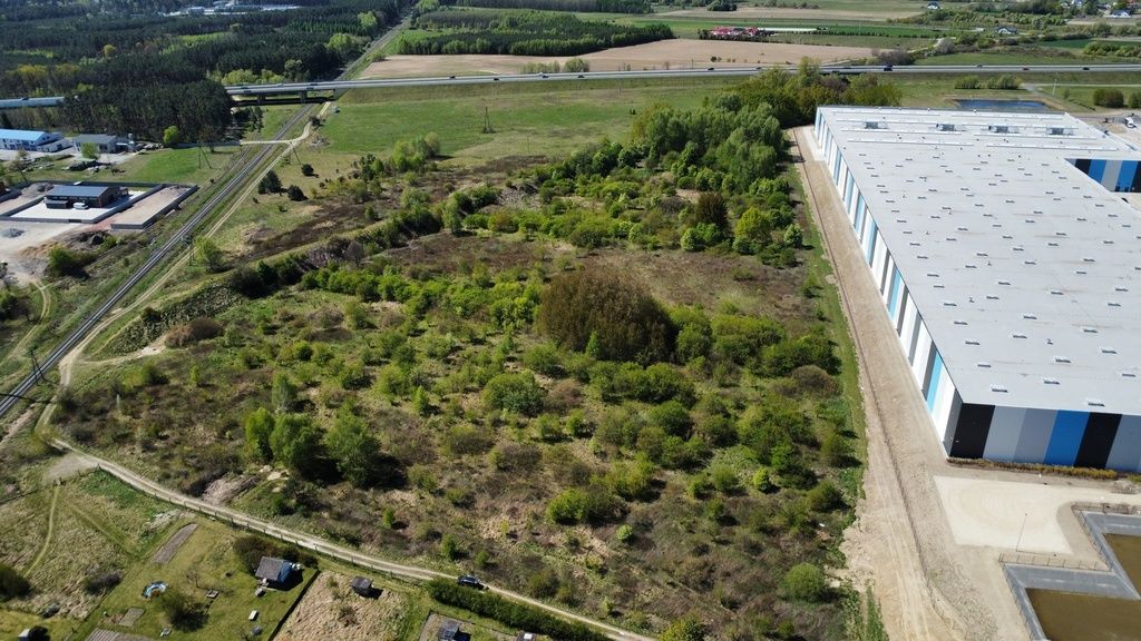 Działka - 4900 m² - Brzezie k. Sulechowa