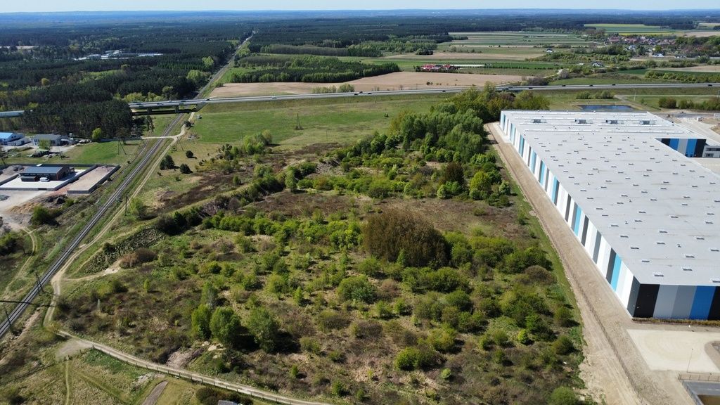 Działka - 4900 m² - Brzezie k. Sulechowa