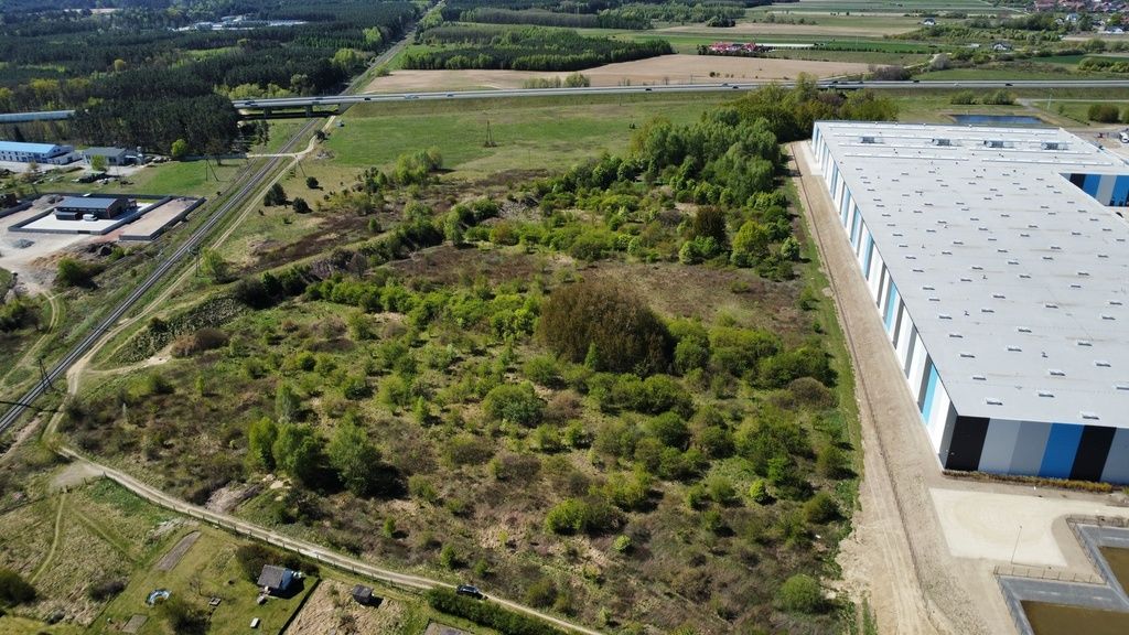 Działka - 4900 m² - Brzezie k. Sulechowa