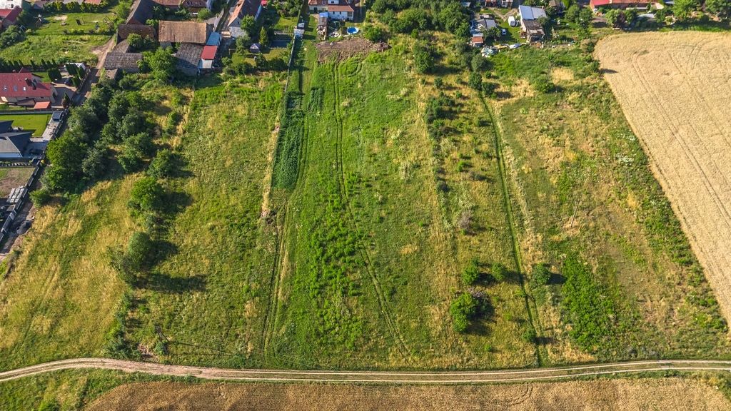Działka - 954 m² - Wilkowo