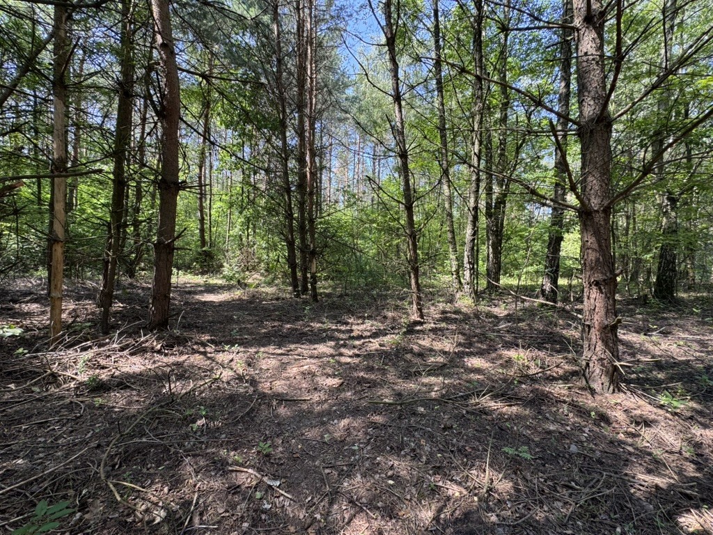 Appartamento - 1098 m² - via Szyszkowa Badowo-Dańki