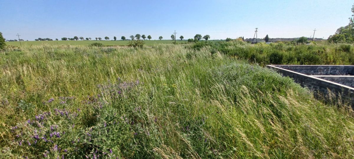 Квартира - 4376 м² - ул. Липовая Бытынь