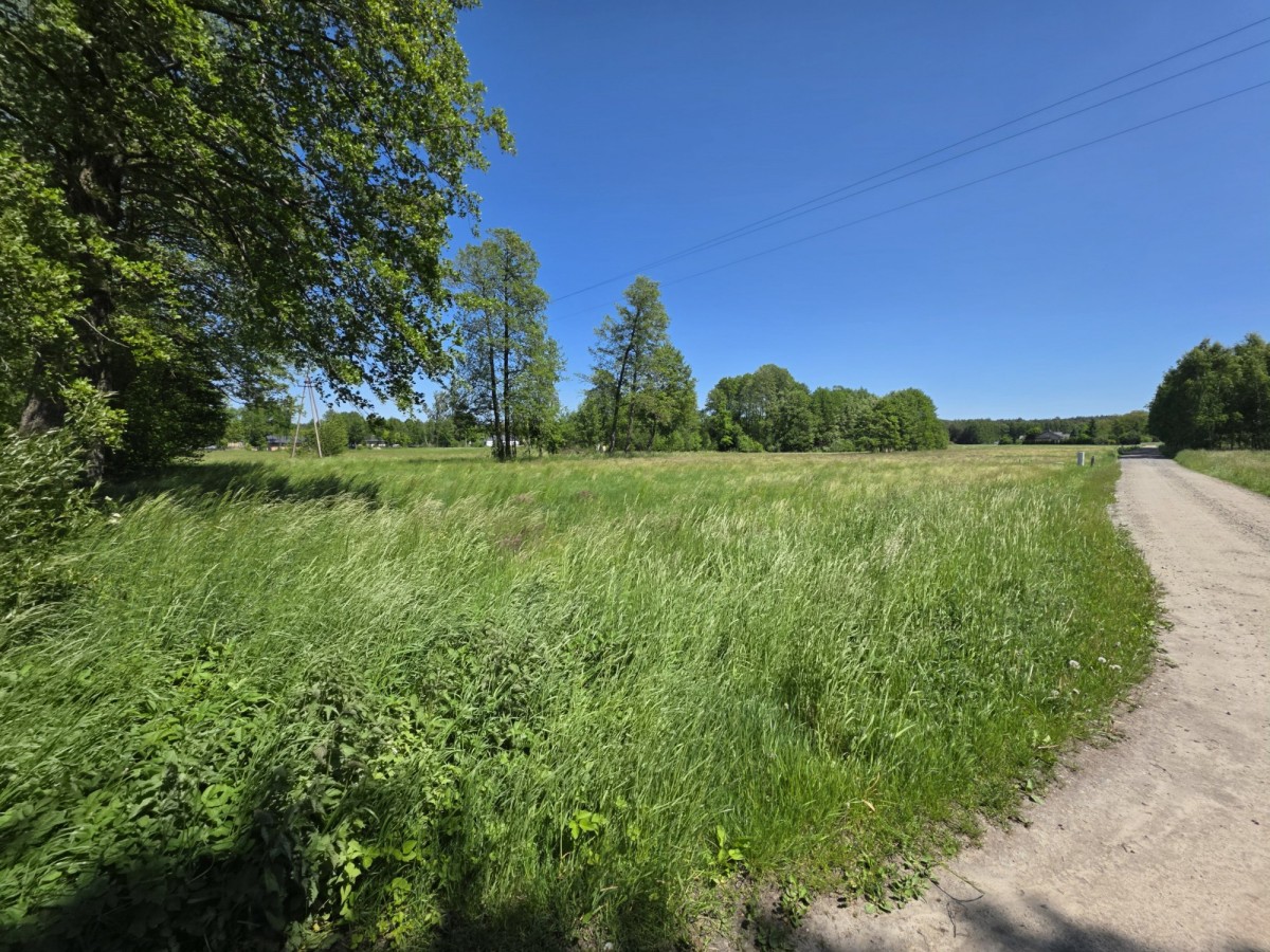 Terreno - 1598 m² - Ciężków