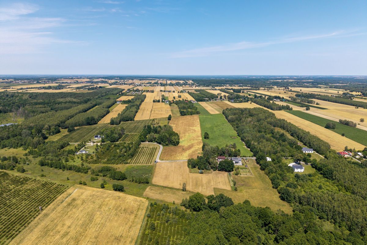 Działka - 1000 m² - Adamów