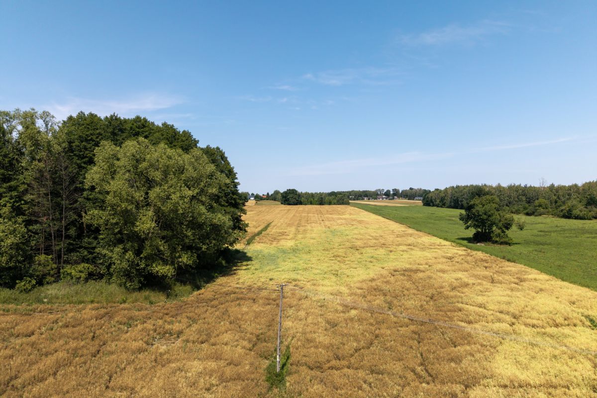Działka - 1000 m² - Adamów