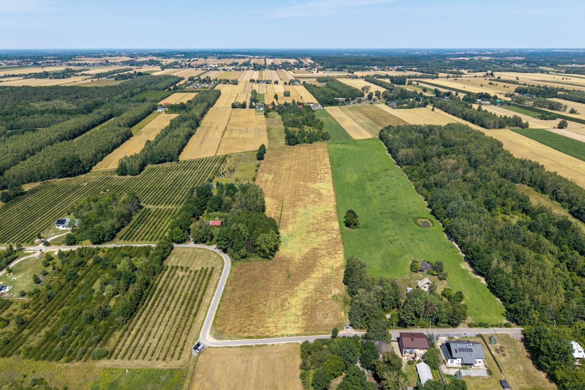 Działka - 1000 m² - Adamów