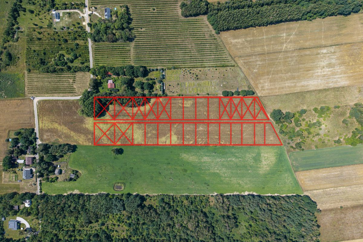 Działka - 1000 m² - Adamów