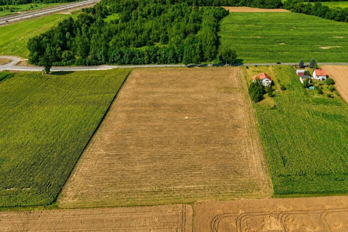 Działka - 2525 m² - ul. Bojszowska Jedlina