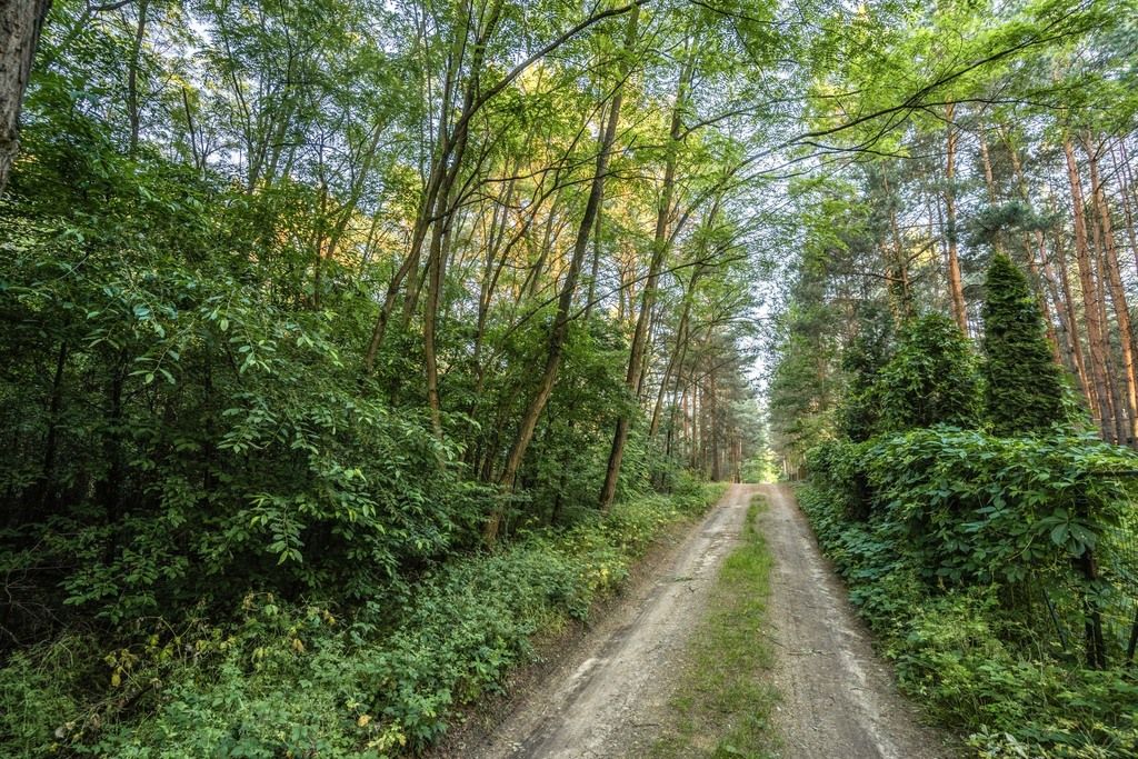 Grundstück - 600 m² - Osłonin