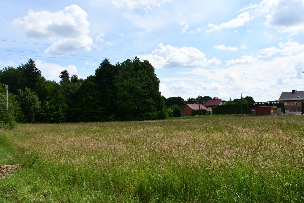 Działka - 4246 m² - Dylągówka