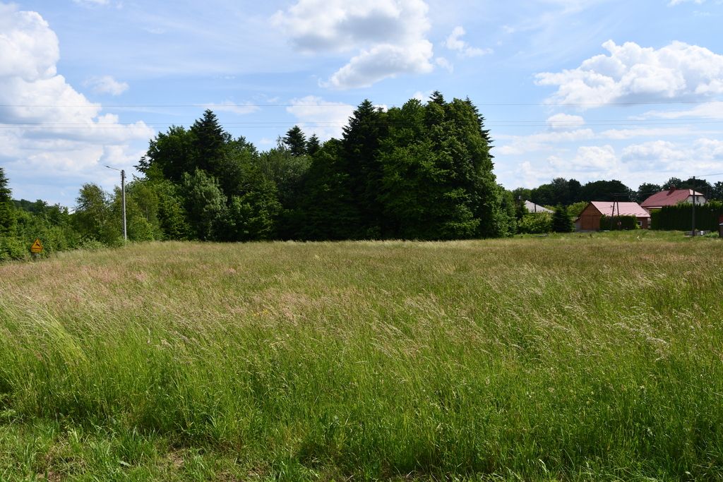 Działka - 4246 m² - Dylągówka