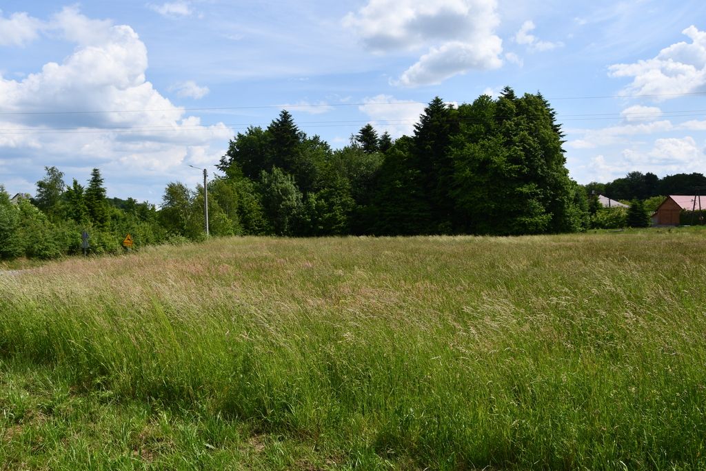 Działka - 4246 m² - Dylągówka