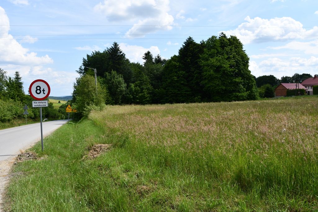 Działka - 4246 m² - Dylągówka