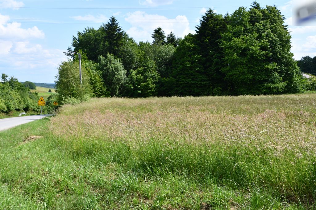 Działka - 4246 m² - Dylągówka