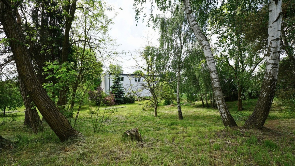 House - 8 rooms - 228 m² - Berdychów Zagórów St.