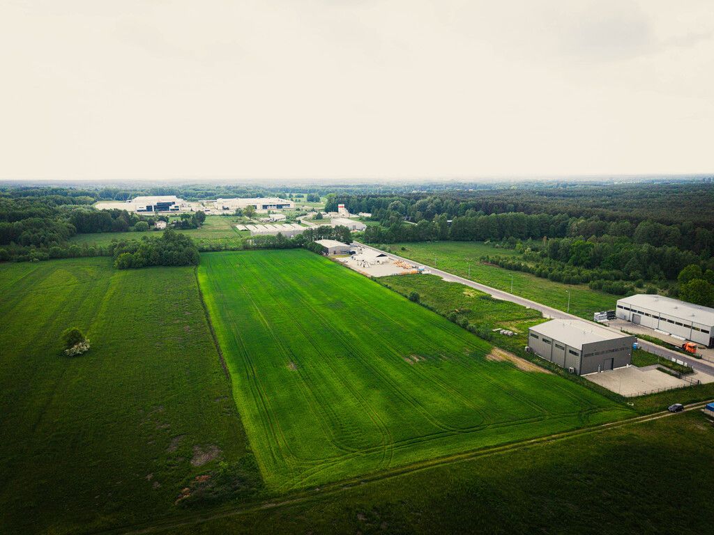 Plot - 33900 m² - Placydowska Street Aleksandrów Łódzki