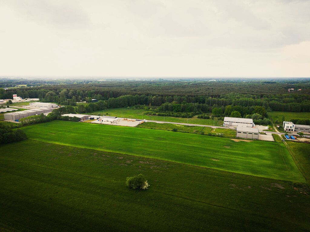 Plot - 33900 m² - Placydowska Street Aleksandrów Łódzki