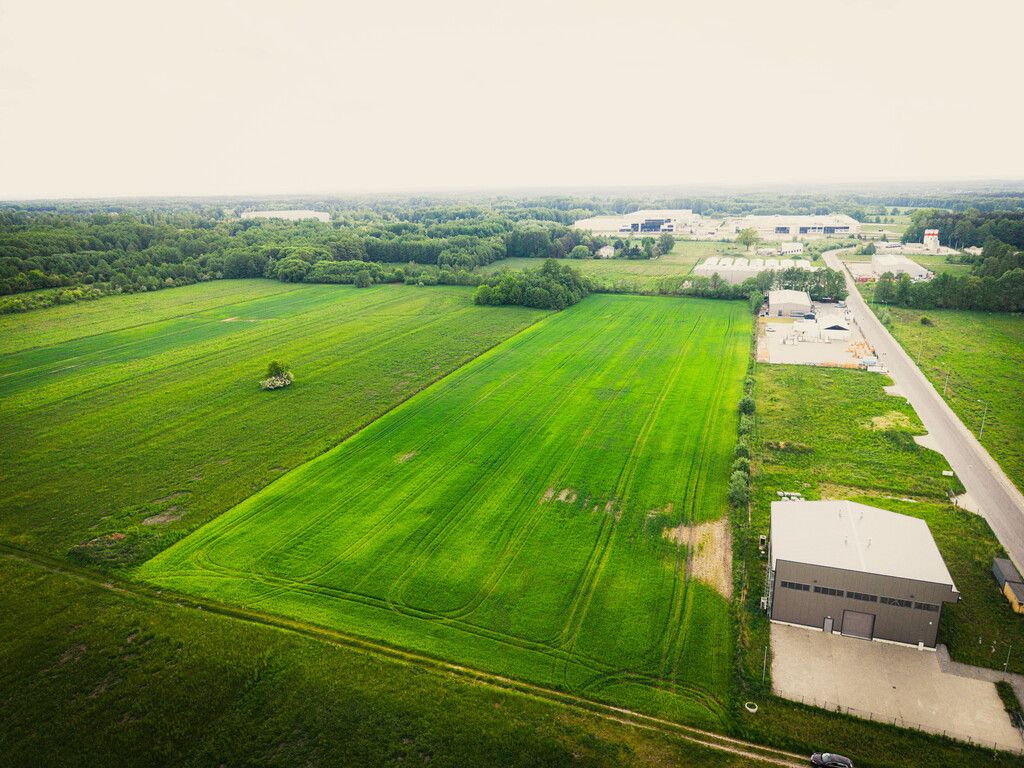 Plot - 33900 m² - Placydowska Street Aleksandrów Łódzki