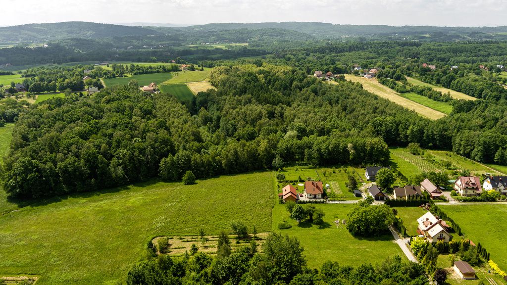Plot - 6900 m² - Wojnicz