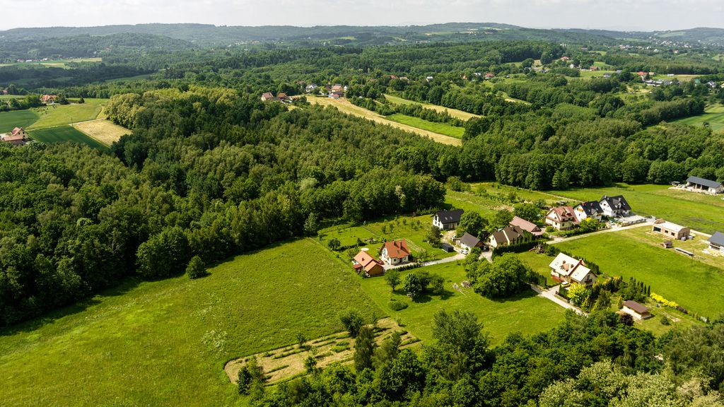 Plot - 6900 m² - Wojnicz