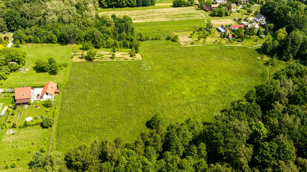 Plot - 6900 m² - Wojnicz