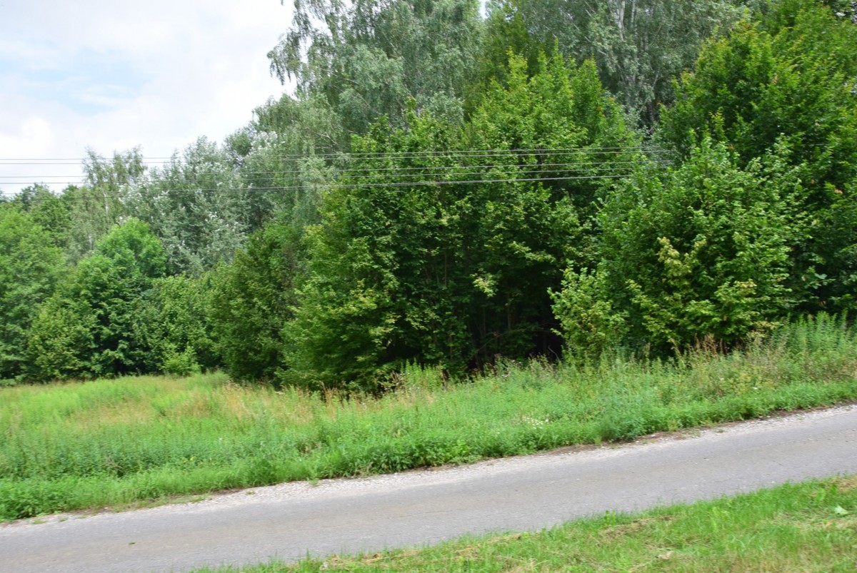 Grundstück - 9488 m² - Jaroszki