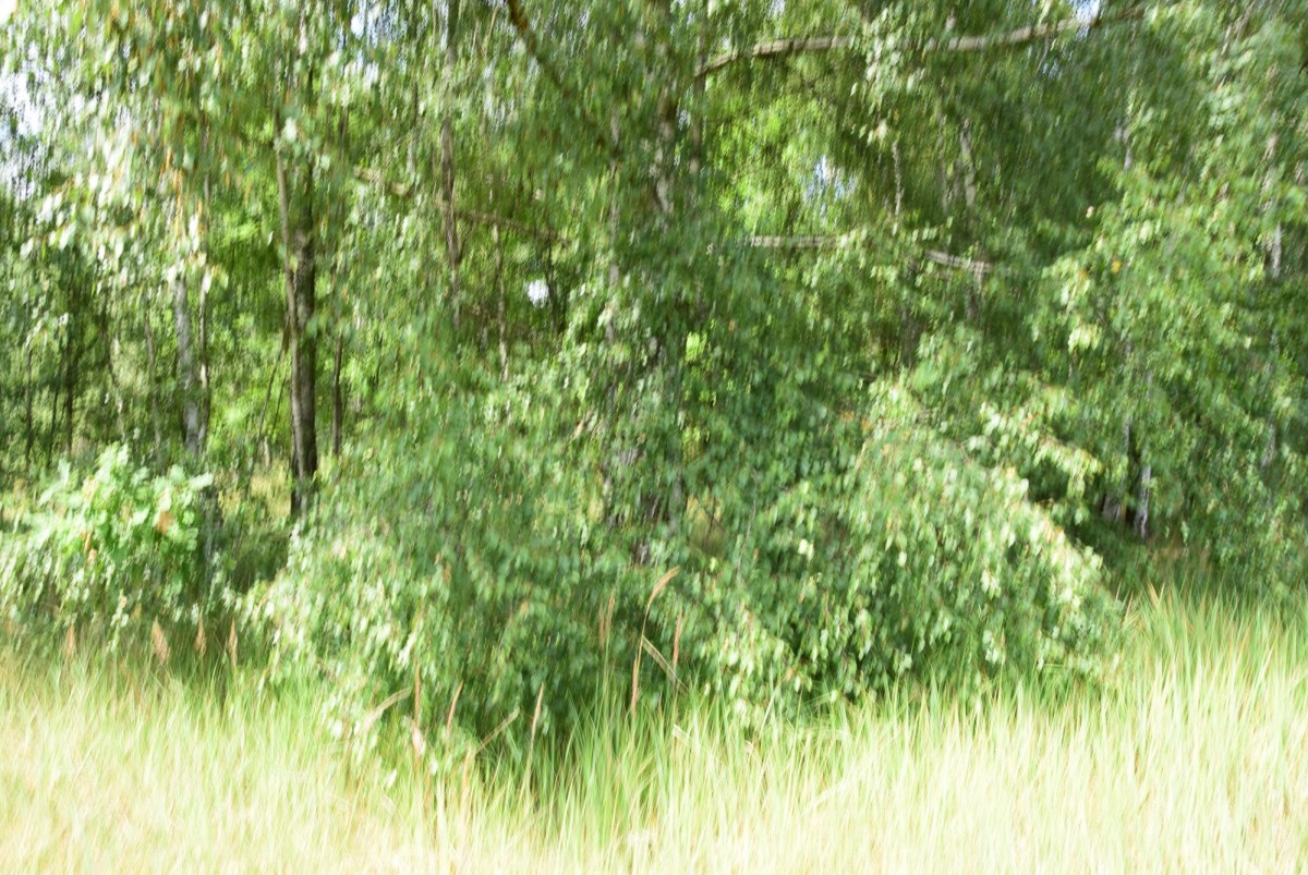 Grundstück - 9488 m² - Jaroszki