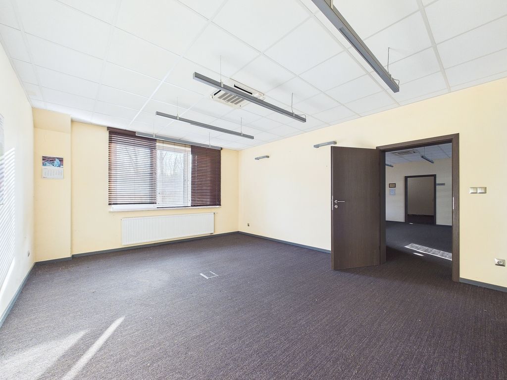 Local - 3058 m² - Dobrów
