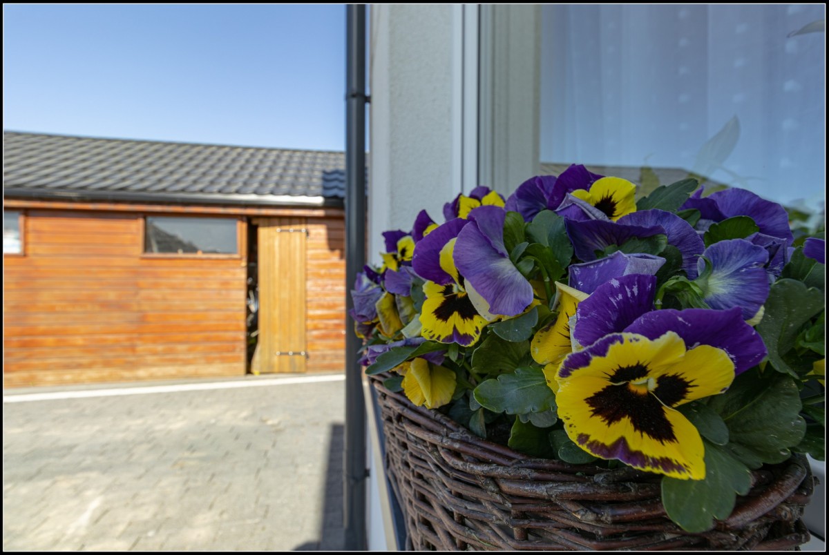 Appartamento - 5 stanze - 94 m² - via Jaskółcza Krzyszkowo