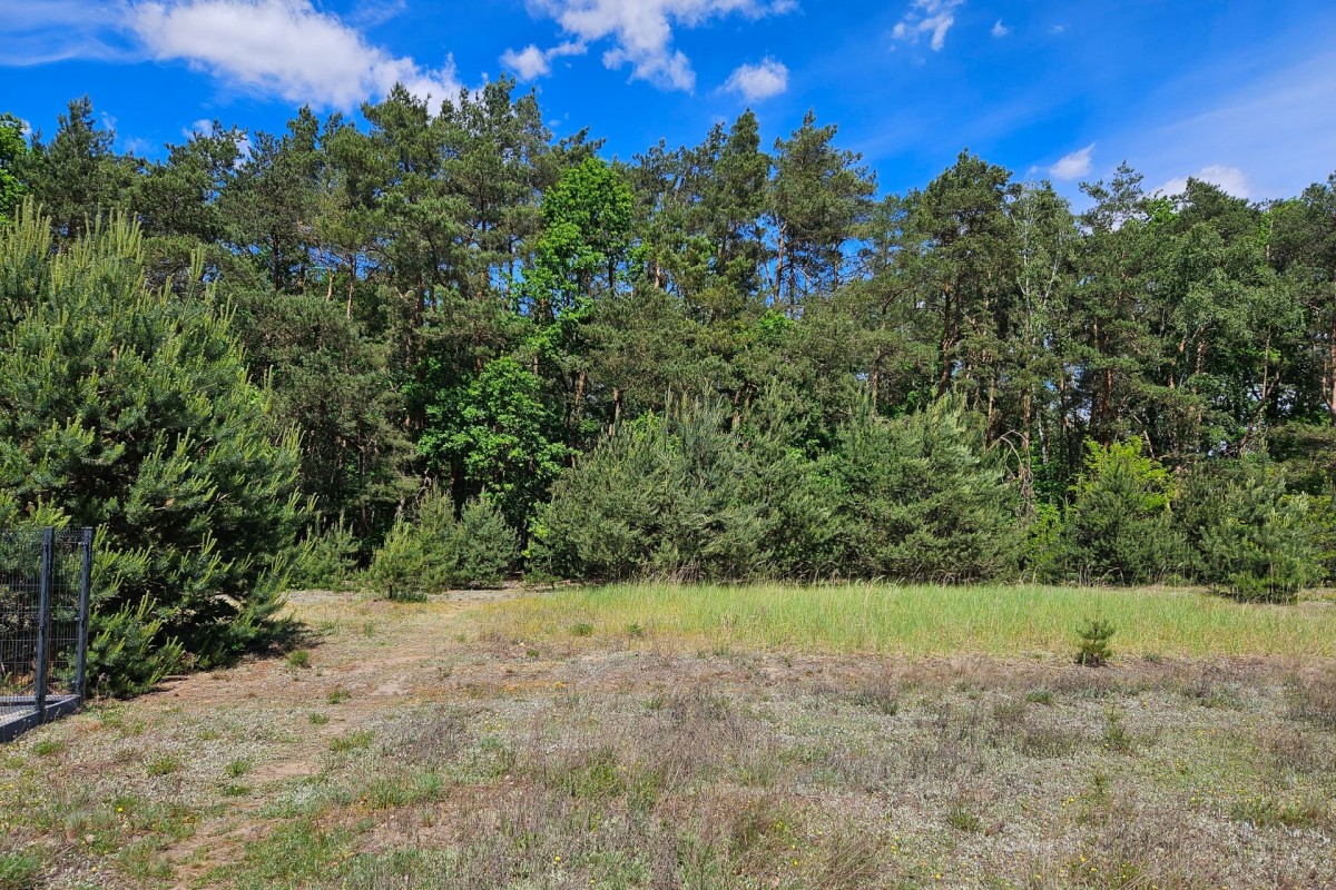 Plot - 2630 m² - Skierniewice