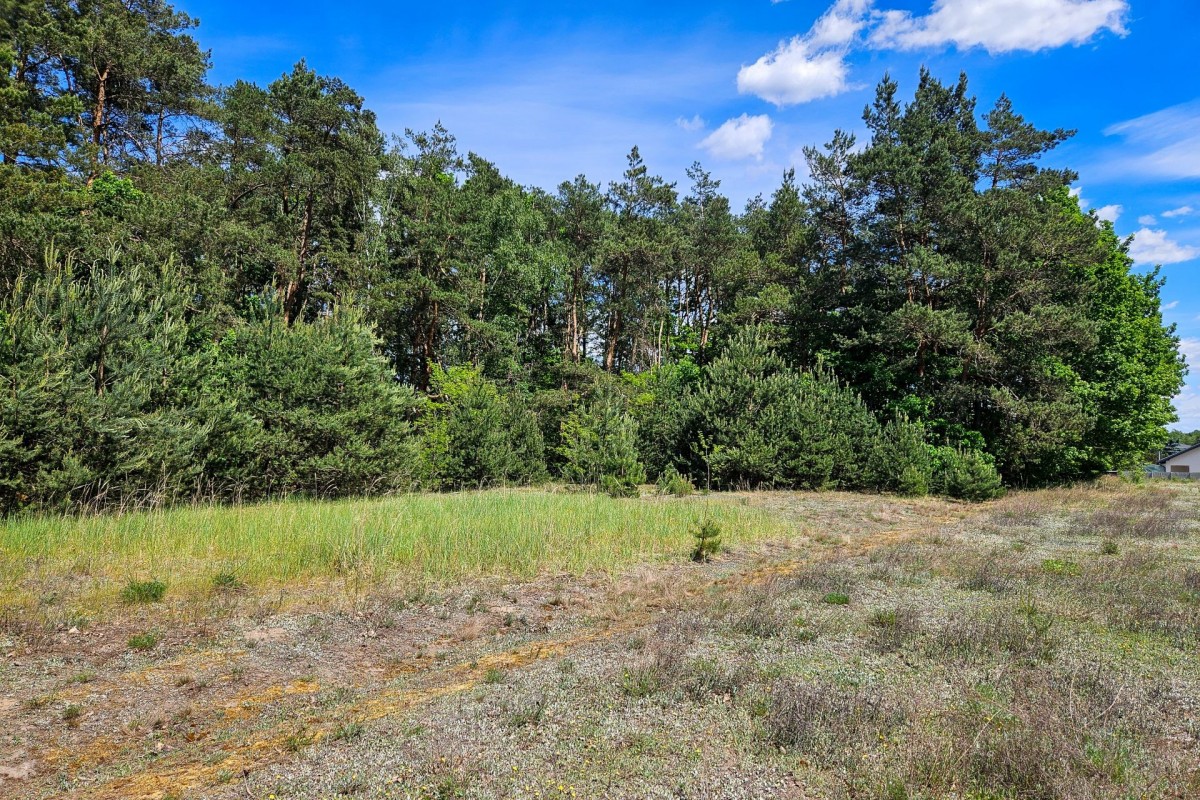 Plot - 2630 m² - Skierniewice