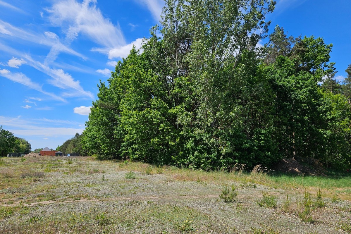 Plot - 2630 m² - Skierniewice