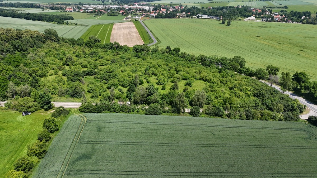 Terreno - 3300 m² - Strzegom