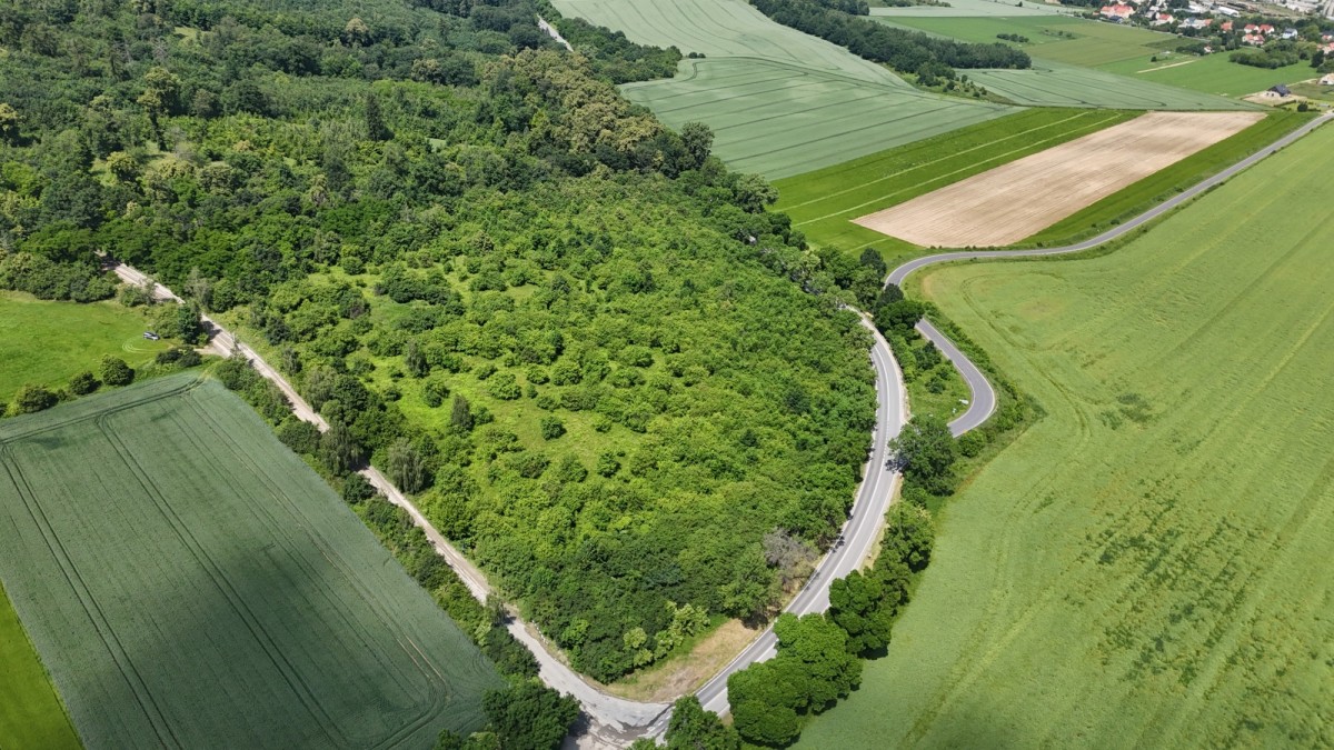 Terreno - 3300 m² - Strzegom