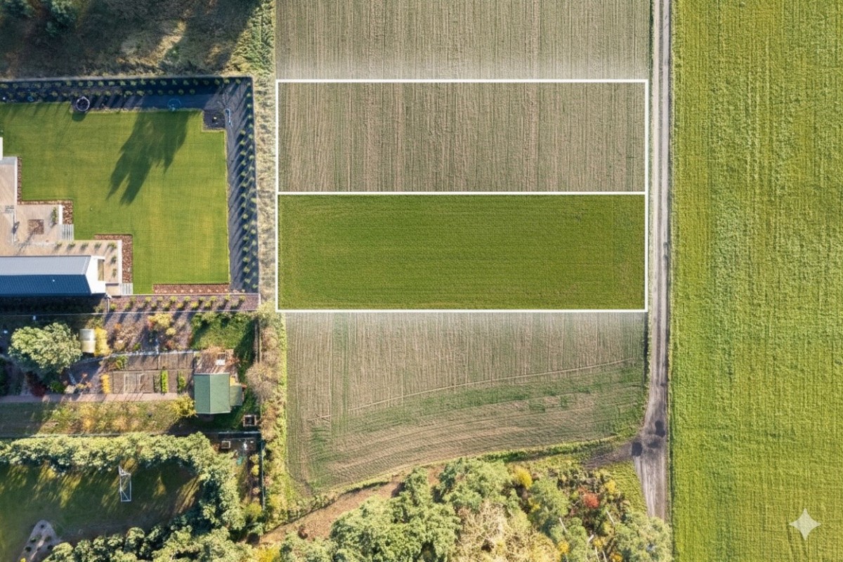 부지 - 1665 m² - ul. Borecka Poznań Szczepankowo