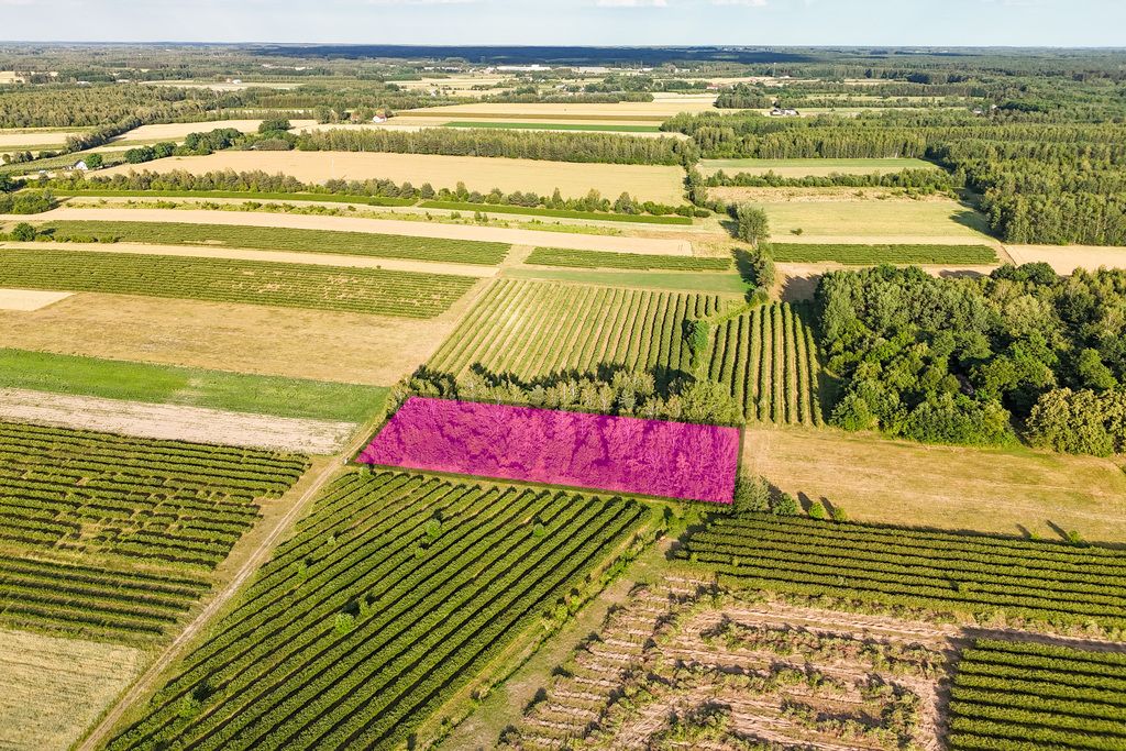 Działka - 10547 m² - Karnice