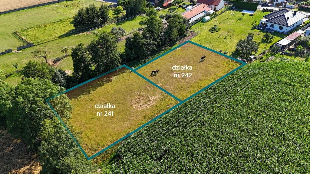 Plot - 1000 m² - Główna Street Krzycko Małe