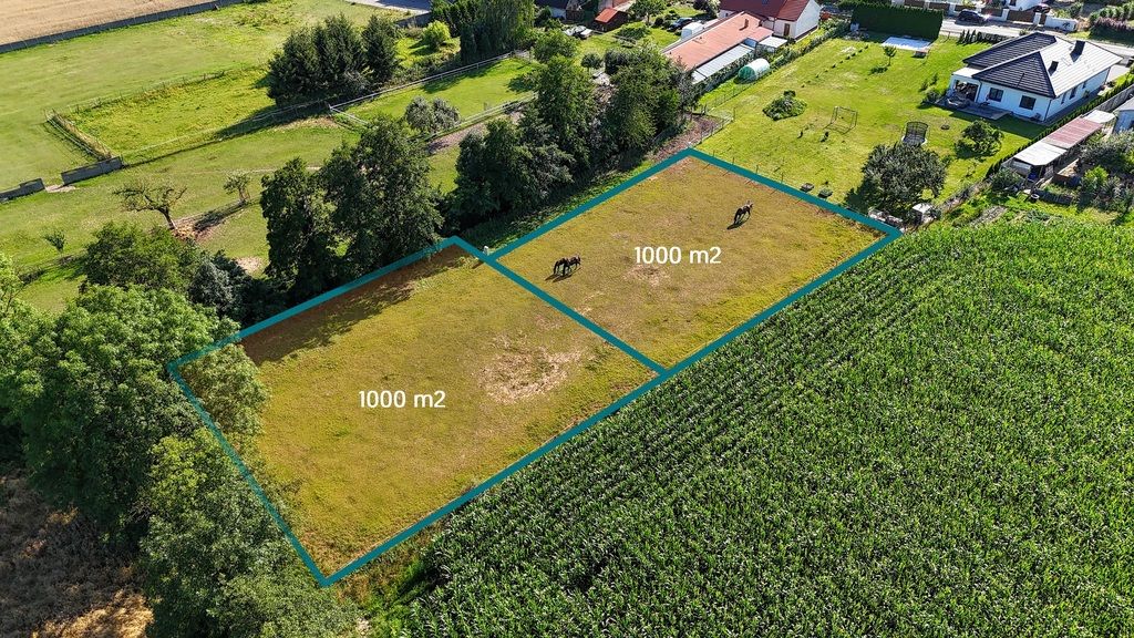 Plot - 1000 m² - Główna Street Krzycko Małe