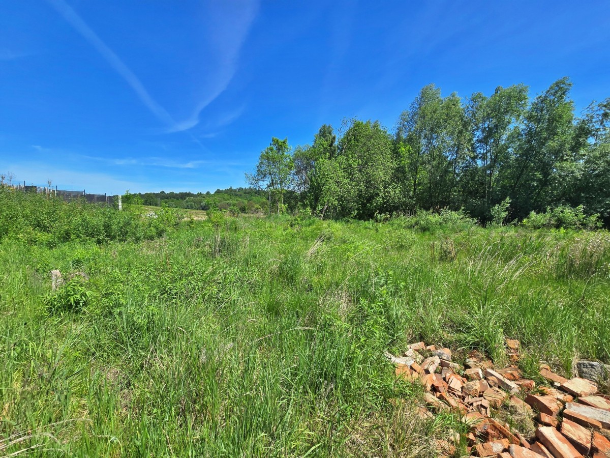Działka - 1206 m² - Bodzanów