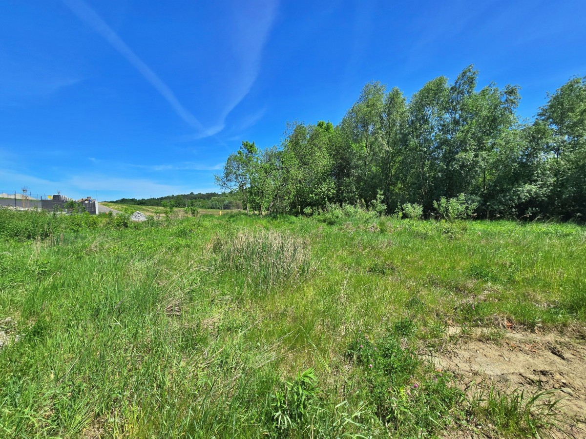Działka - 1206 m² - Bodzanów