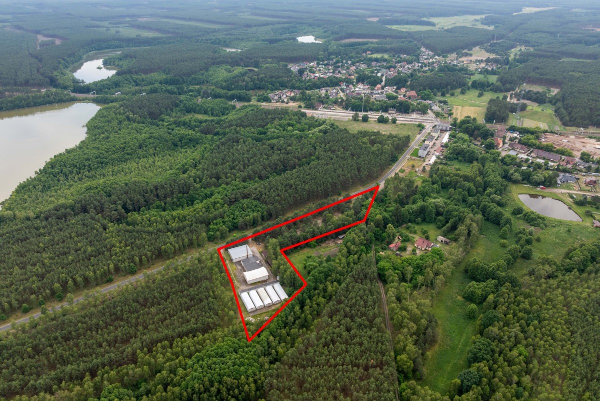 Terreno - 11800 m² - Miały