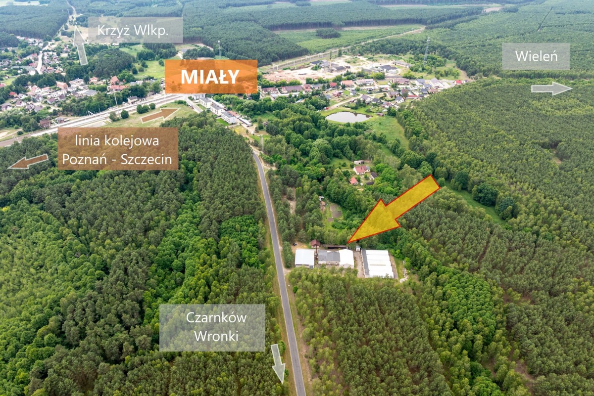 Terreno - 11800 m² - Miały