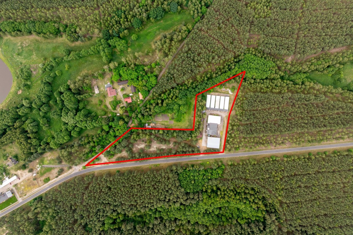 Terreno - 11800 m² - Miały