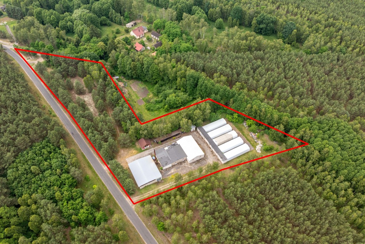 Terreno - 11800 m² - Miały