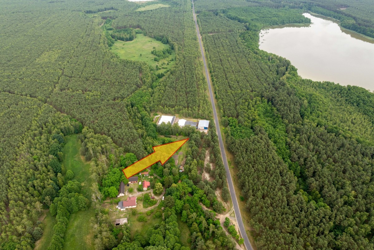 Terreno - 11800 m² - Miały